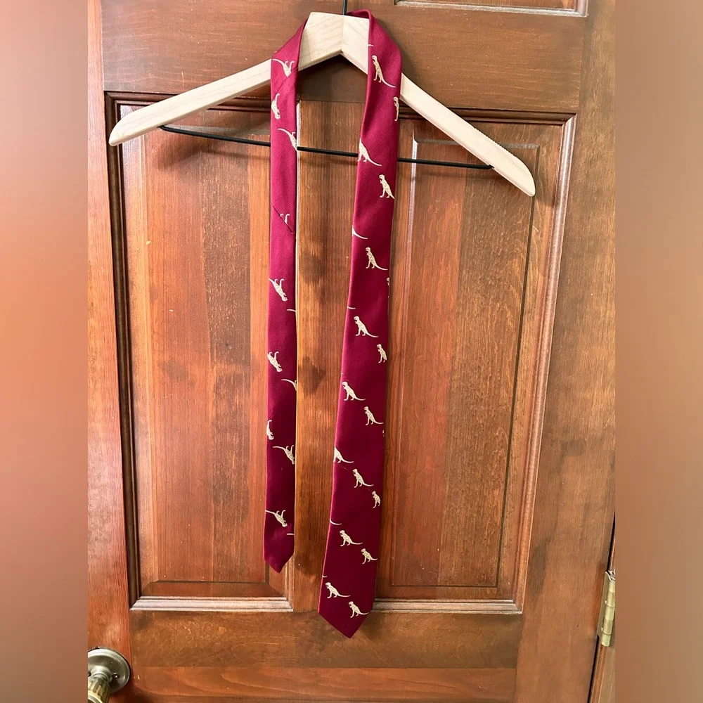 Awesome T-Rex Youth tie, made for the American Natural History Museum. No stains
